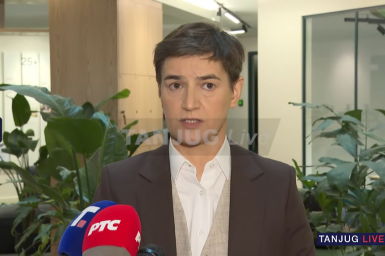 Ana Brnabić u Talinu