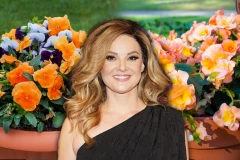 NOVO OGLAŠAVANJE SLAVICE ĆUKTERAŠ NAKON DEMOLIRANJA SAKSIJA! U sve je umešano i maloletno dete! JEZIVO!