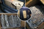 POGLEDAJTE ŠTA JE SVE ZAPLENJENO! Policija u garaži u Beogradu pronašla 100 kilograma narkotika! (FOTO, VIDEO)