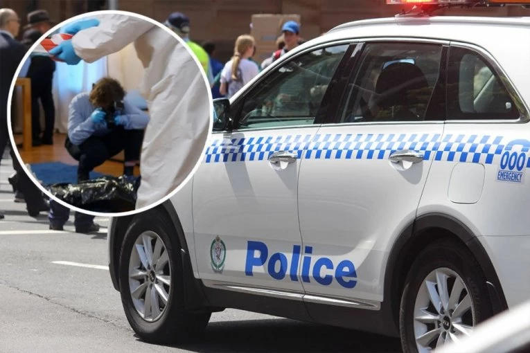 KRALJ POKERA IZREŠETAN U SAČEKUŠI! Krvavi rat dve porodice okončan ubistvom Miše Kobre u Sidneju! UBICA PUCAO BEZ MILOSTI!