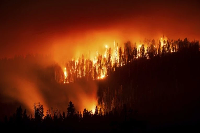 EKSTREMNO VISOKE TEMPERATURE U AUSTRALIJI: Uništene kuće, Melburn očekuje najtopliji dan sa temperaturom do +49 stepeni, naređena hitna evakuacija!