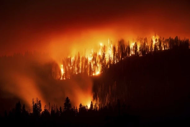 EKSTREMNO VISOKE TEMPERATURE U AUSTRALIJI: Uništene kuće, Melburn očekuje najtopliji dan sa temperaturom do +49 stepeni, naređena hitna evakuacija!