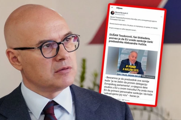 ĐILASOV AKADEMIK UDARIO NA PREDSEDNIKOVU ĆERKU! Vučević osudio blokaderski linč: Njima ništa nije sveto, Teodorović je etalon bestiđa!