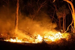 ŠUMSKI POŽARI I DALJE DIVLJAJU! Skoro 40.000 hektara IZGORELO, plamen GUTA sve pred sobom, više od 100 osumnjičenih uhapšeno! (FOTO, VIDEO)