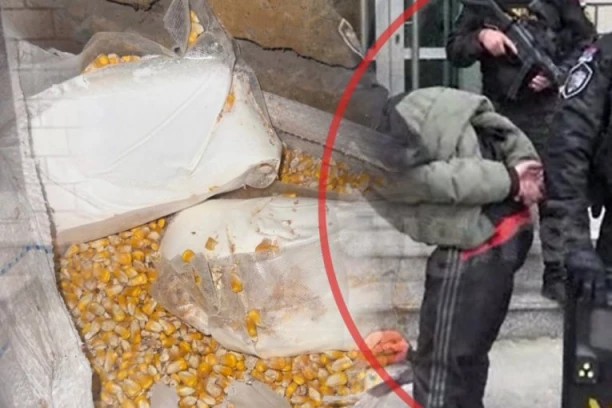 KRILI DROGU I PIŠTOLJ U KUKURUZU! Pali dileri iz Rume! (FOTO)