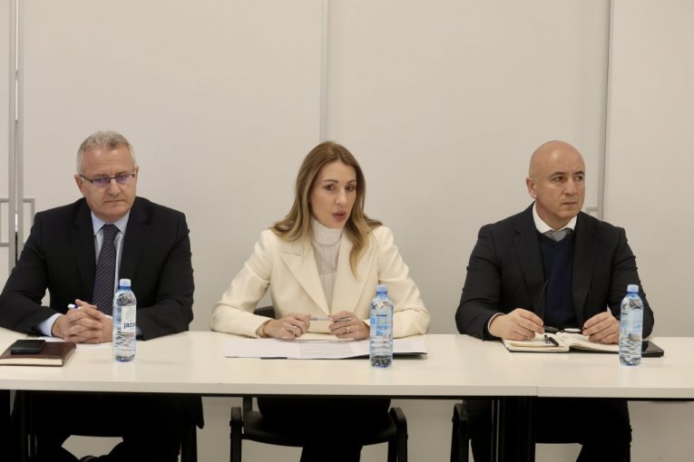 Ministarka Dubravka Đedović Handanović u Smederevu