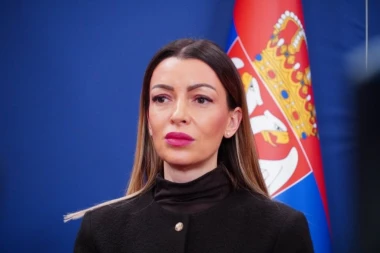 SMETLIŠTE POLITIČKE ISTORIJE JE TVOJ HABITAT! Ministarka Mesarović vratila Borka Stefanovića na fabrička podešavanja: Nauči se već jednom!