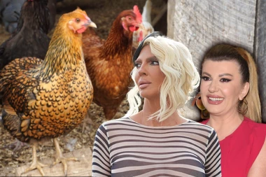 KARLEUŠA ZBOG KANDIDATKINJE UNAKAZILA VIKI: "Ti si kokoška iz kokošinjca" (VIDEO)