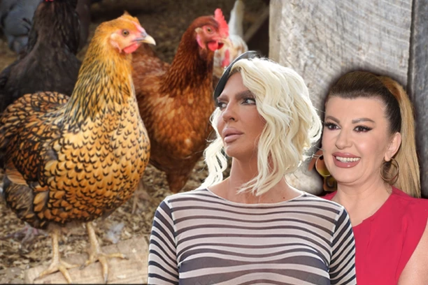 KARLEUŠA ZBOG KANDIDATKINJE UNAKAZILA VIKI: "Ti si kokoška iz kokošinjca" (VIDEO)