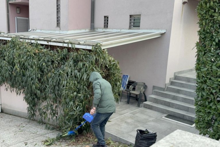 Čišćenje vile Zdravka Čolića