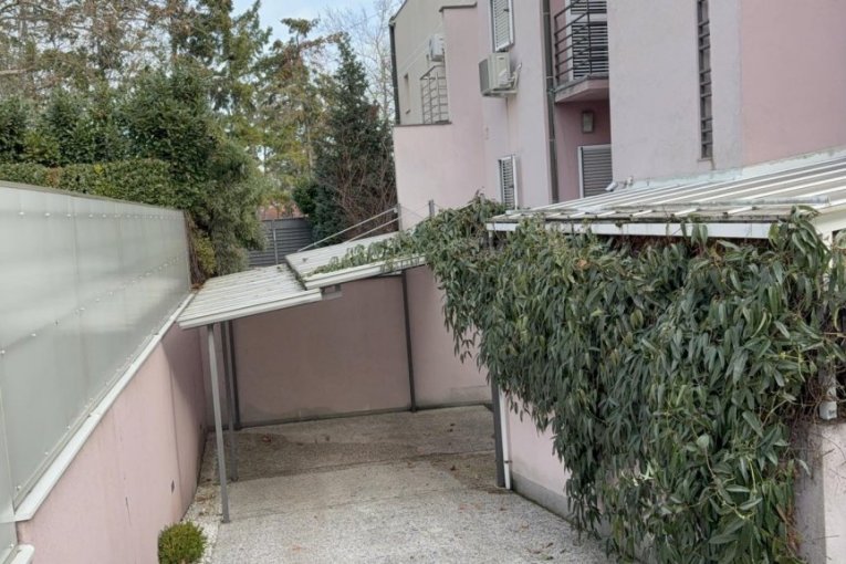 Čišćenje vile Zdravka Čolića