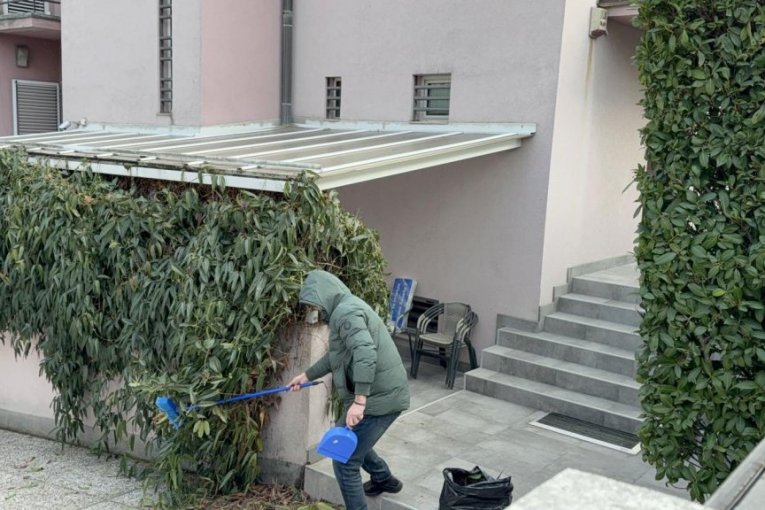 Čišćenje vile Zdravka Čolića