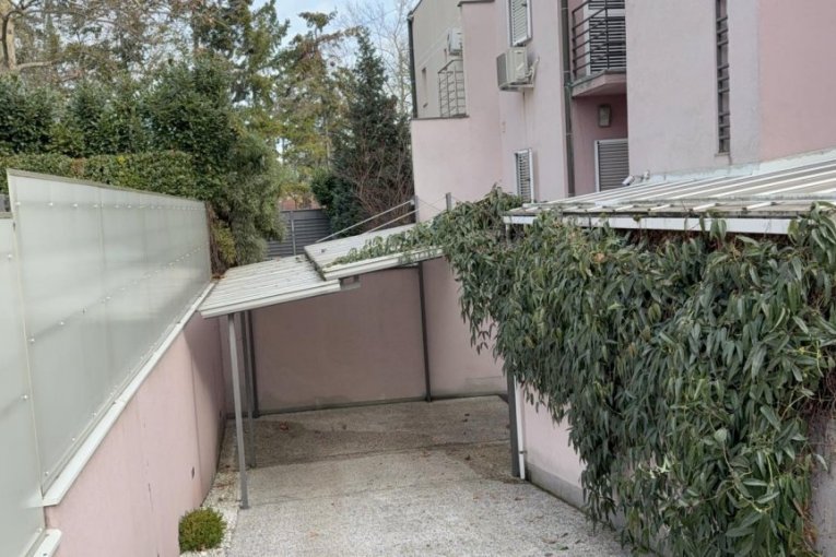 Čišćenje vile Zdravka Čolića