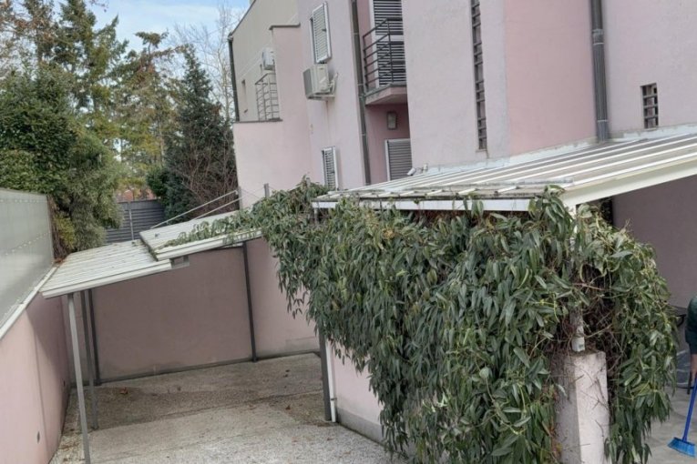 Čišćenje vile Zdravka Čolića