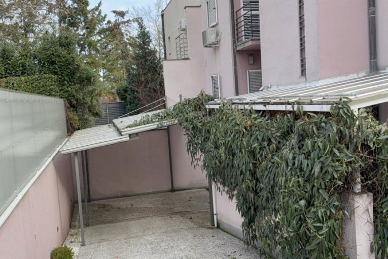 Čišćenje vile Zdravka Čolića