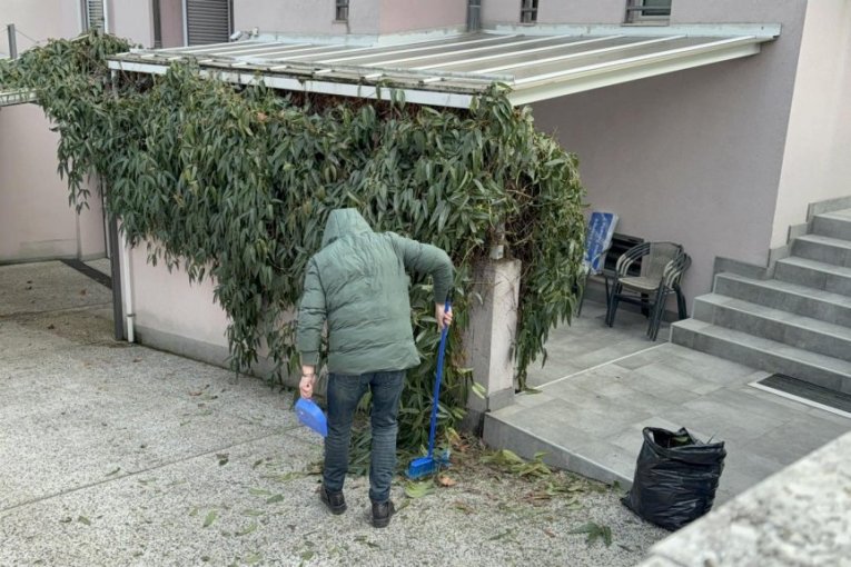 Vila Zdravka Čolića