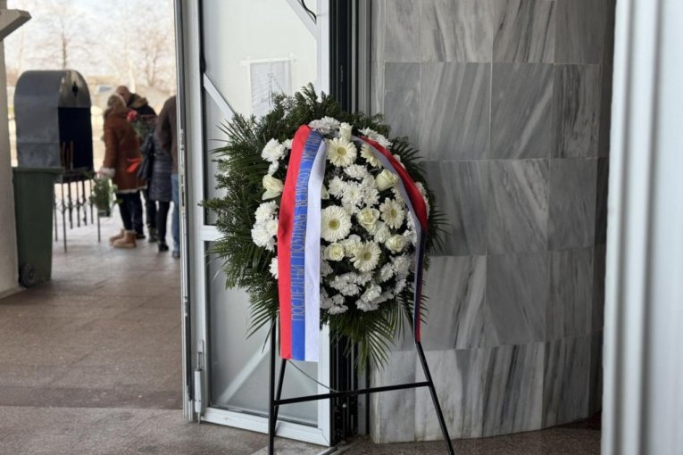 Venac ministra Selakovića