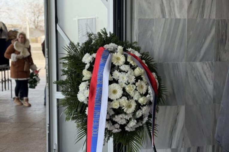 Venac ministra Selakovića