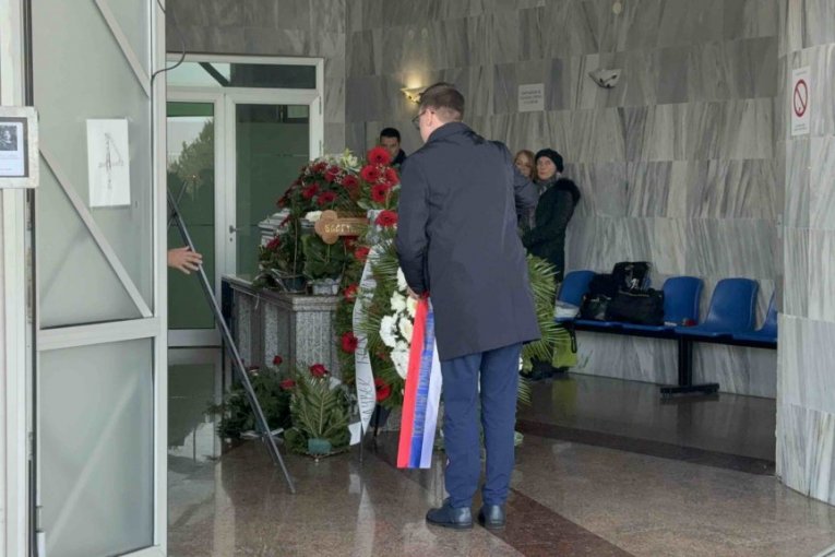 Venac ministra Selakovića