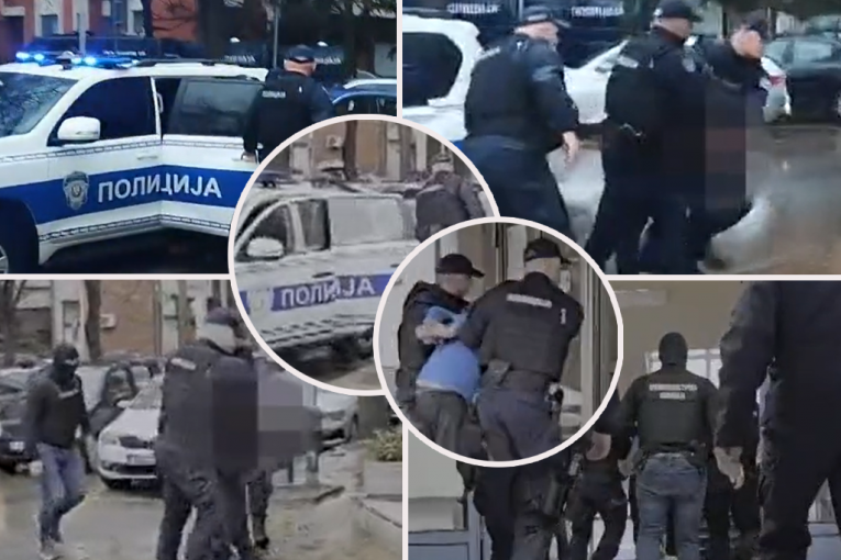 NEW ARRESTS FOR THE MURDER OF ALEKSANDRA IN THE MIDDLE OF NIŠ! The monster didn't act alone! DAČIĆ MADE A STATEMENT! (PHOTO, VIDEO)