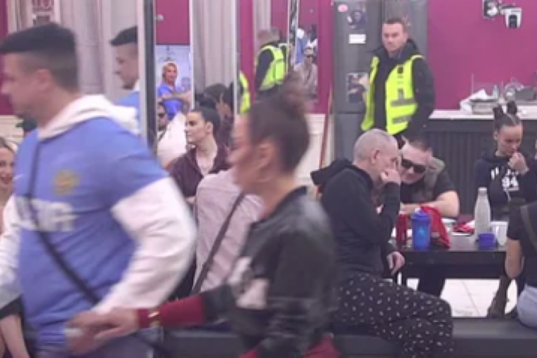 Milena Kačavenda, Janjuš i Terza svađa