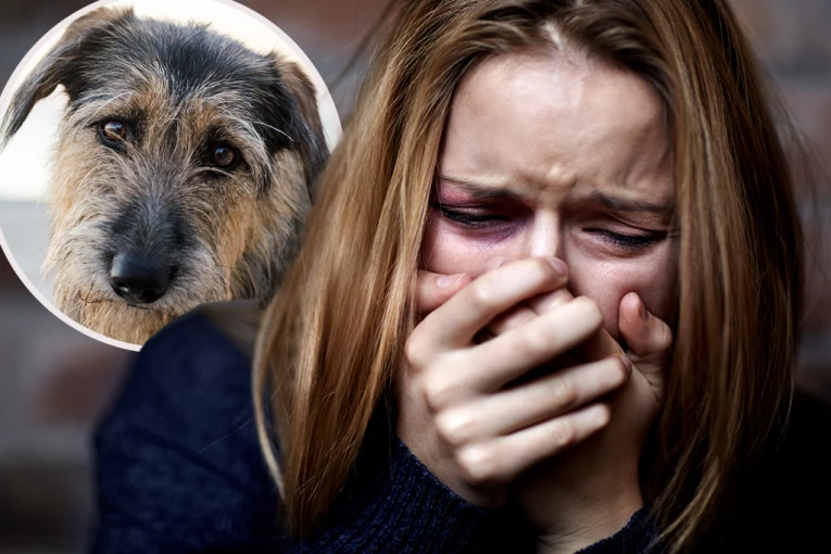 IMAŠ LI DUŠE I SRCA, ŠTA TI JE PAS ZGREŠIO? Američki maršal KRVNIČKI šutnuo životinju i slomio mu REBRO - SVET ŠOKIRAN JEZIVIM SNIMKOM! (VIDEO)