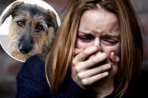 IMAŠ LI DUŠE I SRCA, ŠTA TI JE PAS ZGREŠIO? Američki maršal KRVNIČKI šutnuo životinju i slomio mu REBRO - SVET ŠOKIRAN JEZIVIM SNIMKOM! (VIDEO)