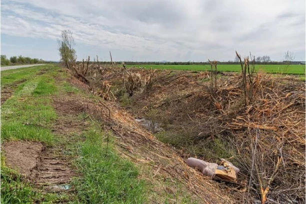 ŠTA JE OVO OSVANULO PORED PUTA? Jeziv prizor kod Subotice! U kanalu leži mrtva životinja kojoj nije mesto u Srbiji, građani u panici i neverici! (UZNEMIRUJUĆI VIDEO)
