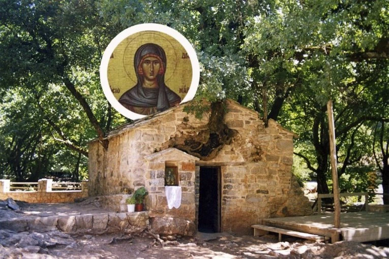 MISTERIJA KOJA PRIVLAČI VERNIKE IZ CELOG SVETA: U Crkvi Svete Teodore, iz koje raste 17 stabala, dešavaju se čuda Božja (VIDEO)