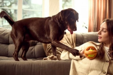 Šta znači kada vas pas dodiruje šapom: Nije uvek u pitanju privrženost, možda je signal za pomoć