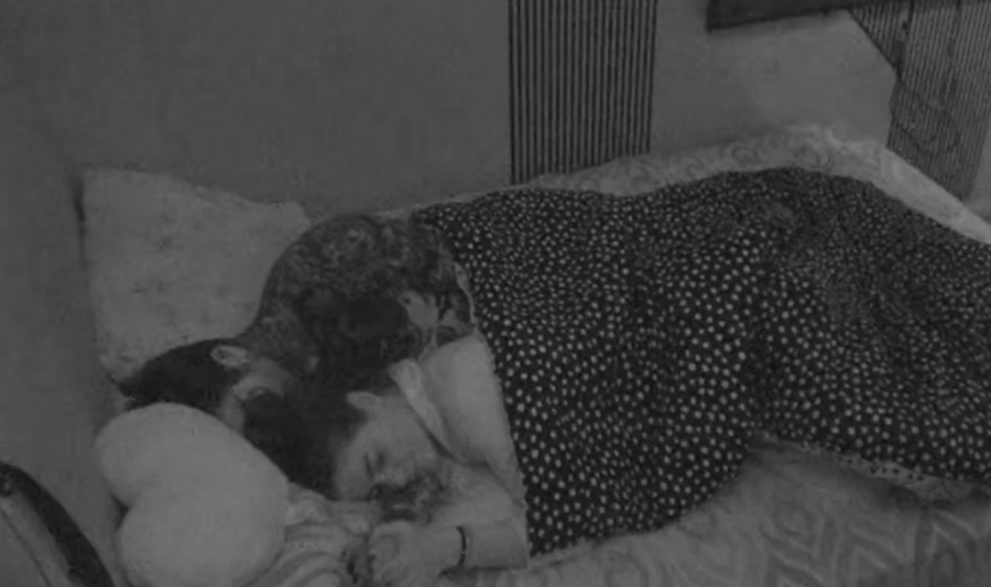 POZNATO ŠTA SE DESILO S BOGINJOM NAKON ŠTO JU JE MAJA UNAKAZILA: Javnost zabrinule uznemirujuće scene, a ona ŠOKIRALA!