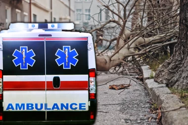 HOROR U SUBOTICI! Ogromno stablo palo na muškarca kod Lifke! Čovek nepomično ležao, građani se borili da ga izvuku! (FOTO)