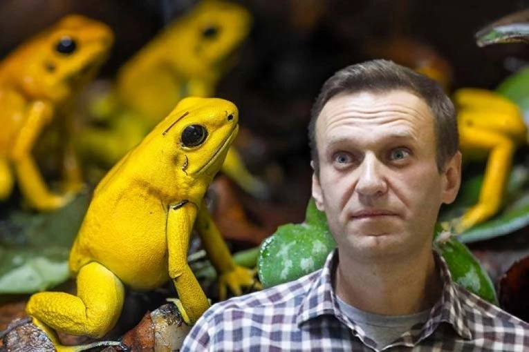 ŠOK TVRDNJE: Aleksej Navaljni otrovan toksinom iz ŽABE? Tajni dokumenti otkrivaju nove detalje