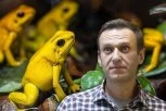 ŠOK-TVRDNJE: Aleksej Navaljni otrovan toksinom iz ŽABE? Tajni dokumenti otkrivaju nove detalje