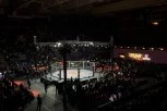 BEOGRAD JE MMA CENTAR SVETA: Počinje BRAVE 104, Joksović i Nikolić predvode srpsku legiju!