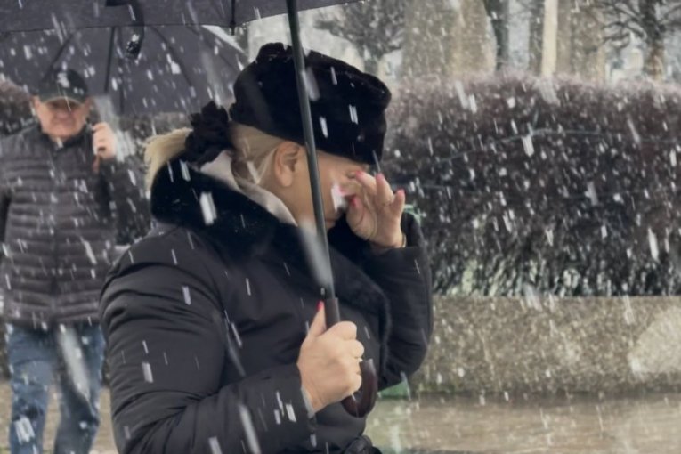 Pomen Šabanu Šauliću