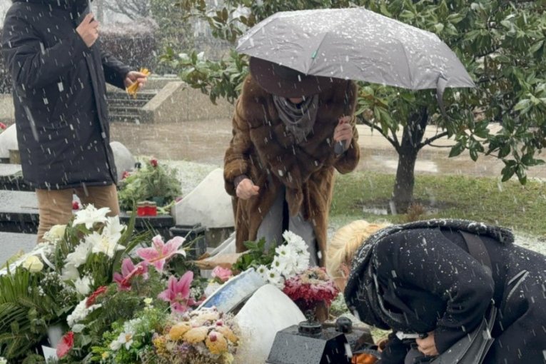 Pomen Šabanu Šauliću