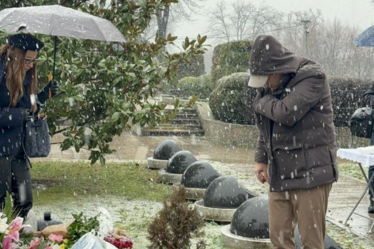 Pomen Šabanu Šauliću