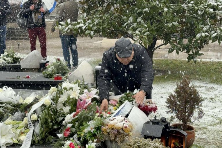 Pomen Šabanu Šauliću