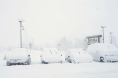 SNEŽNA OLUJA OKOVALA ZEMLJU! Šest država proglasilo vanredno stanje (VIDEO)