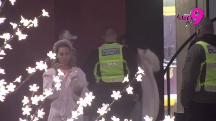 ZVERSKA TUČA, PODIVLJALA ANITA NASRNULA NA LUKU, PA DEMOLIRALA KOMPLETNO IMANJE: Obezbeđenje jedva izvuklo Vujovića iz njenih kandži, "stradala" i Aneli!