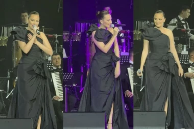 "I PTICE NA GRANI ZNAJU KOLIKO...": Aleksandru Prijović slomile emocije na koncertu u čast pokojnog Šabana Šaulića! (VIDEO)