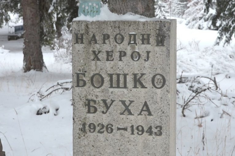 Ukradena bista Boško Buha