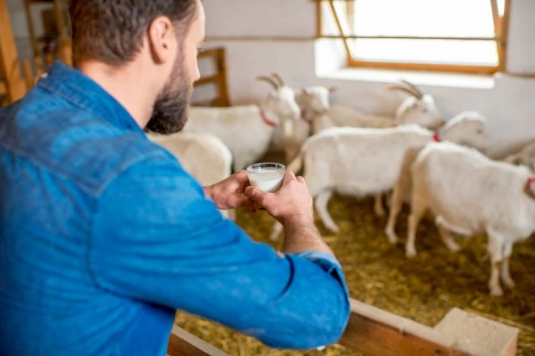 NIJE OTIŠAO U GRAD, VEĆ POSTAO SVOJ GAZDA: Slavko (29) iz Grgurevaca otkrio recept za uspeh: Od čistog ratarstva nema života, EVO ŠTA DONOSI NOVAC!