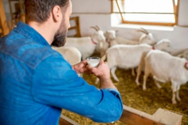 NIJE OTIŠAO U GRAD, VEĆ POSTAO SVOJ GAZDA: Slavko (29) iz Grgurevaca otkrio recept za uspeh: Od čistog ratarstva nema života, EVO ŠTA DONOSI NOVAC!