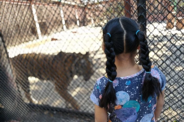 ŽIVOTINJE MASOVNO POČELE DA UMIRU OD KUGE: Horor u poznatom parku, turisti ih MAZILI I SLIKALI SE, a oni nosili smrtonosne viruse! Hitno upozorenje stručnjaka!