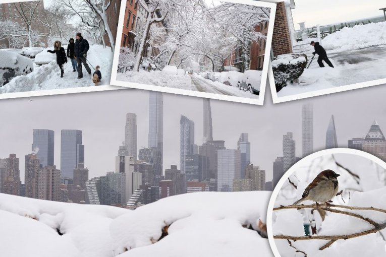 Vremenski rolerkoster