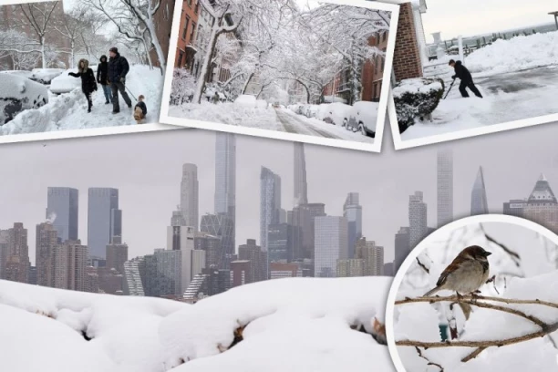 LEDENA APOKALIPSA SE SRUČILA NA ZEMLJU! Više od 2.000 letova OTKAZANO, škole ZATVORENE, sneg ZATRPAO gradove, nova oluja preti da POGORŠA situaciju! (FOTO, VIDEO)