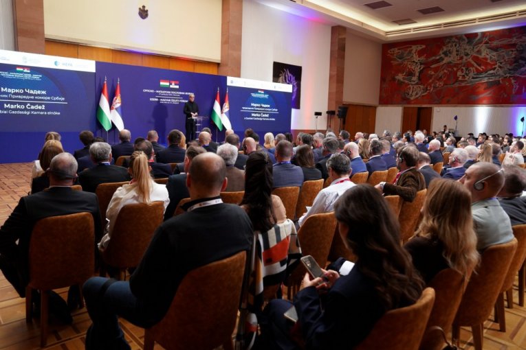 Obraćanje Marka Čadeža