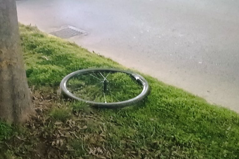 TANJUG/ SAŠKA DROBNJAK